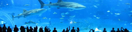 ���ꌧ�̏h�����H���Y�i�K�C�h